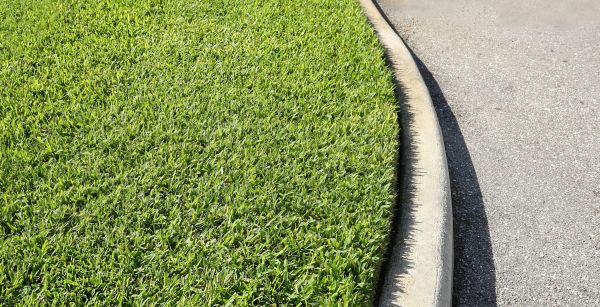 Cost of Street Curb Repair in Honolulu